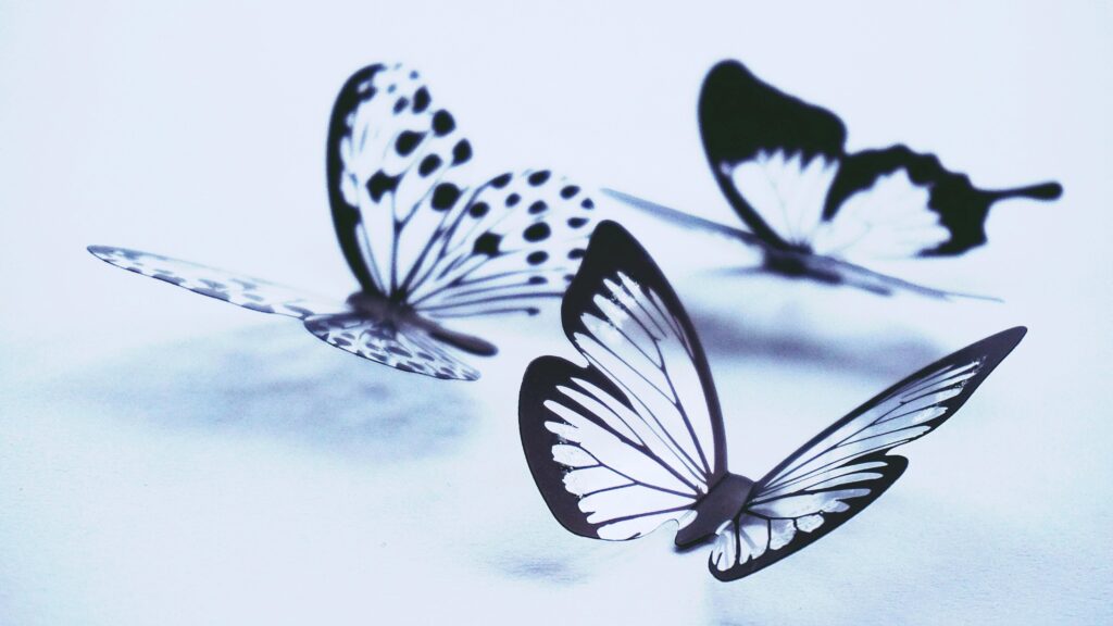 pexels-photo-1913226-1913226 Artistic display of monochrome butterflies with delicate patterns on a light background.